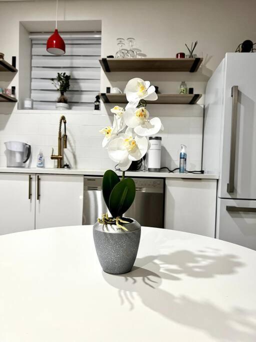 Luxury And Cozy 1 Bed Condo In The Heart Of Providence Dış mekan fotoğraf